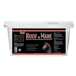 Hoof & Mane Pellets for Horses