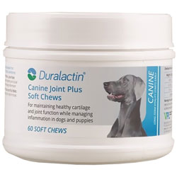 Duralactin Canine Joint Plus Soft Chews