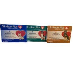 Tri-Heart Plus for Dogs