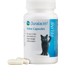 Duralactin Feline Capsules - 60 Capsules