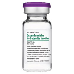 Dexmedetomidine Hydrochloride Injection