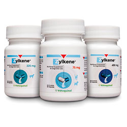 Zylkene Capsules