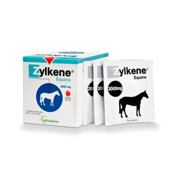 Zylkene Equine Packets