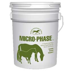 Micro-Phase