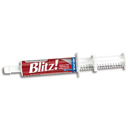 Blitz! Paste