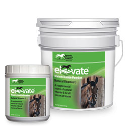 Elevate Maintenance Powder