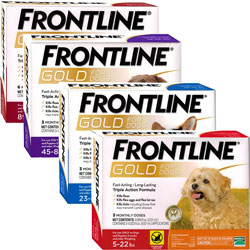 Frontline Gold for Dogs