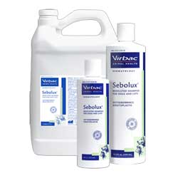 Sebolux Shampoo