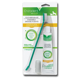 Enzadent Toothbrush Kit