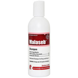 Malaseb Shampoo