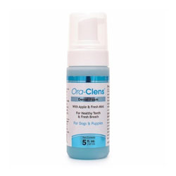 Ora-Clens Dental Foam