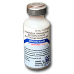 Endovac Equine - 10 Dose Vial