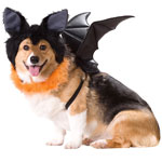 Animal Planet Bat Dog Costume