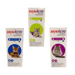 Bravecto Topical Solution for Cats