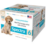 Canine Spectra 6